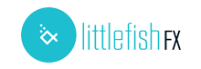 Financial Translation_Littlefishfx-574c60bbb677d